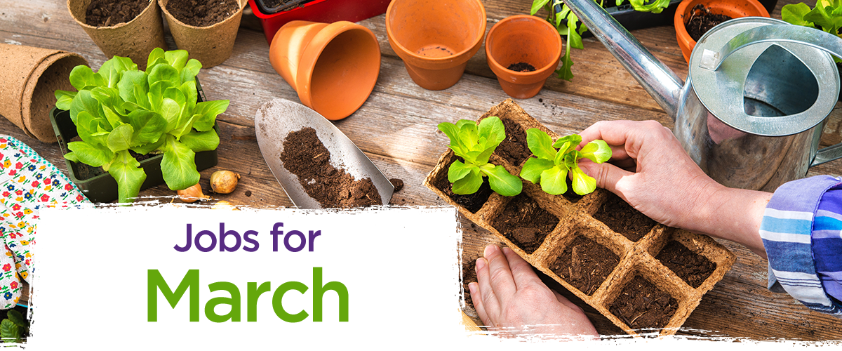 Jobs for March