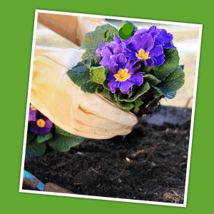 Jobs for spring